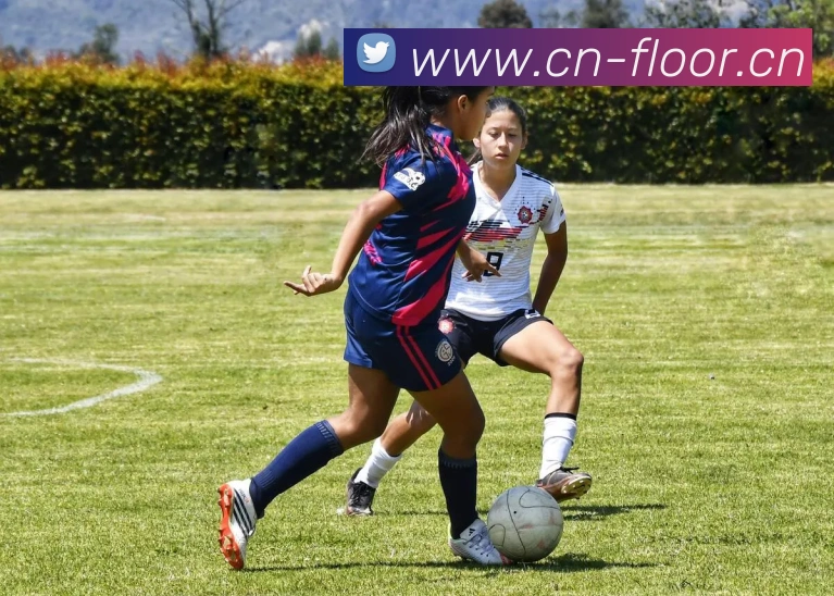 数据防护可视化